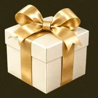Wrapped gift box — Slotsgem